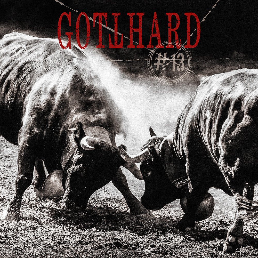 GOTTHARD - 13 LP2 - Slika 2