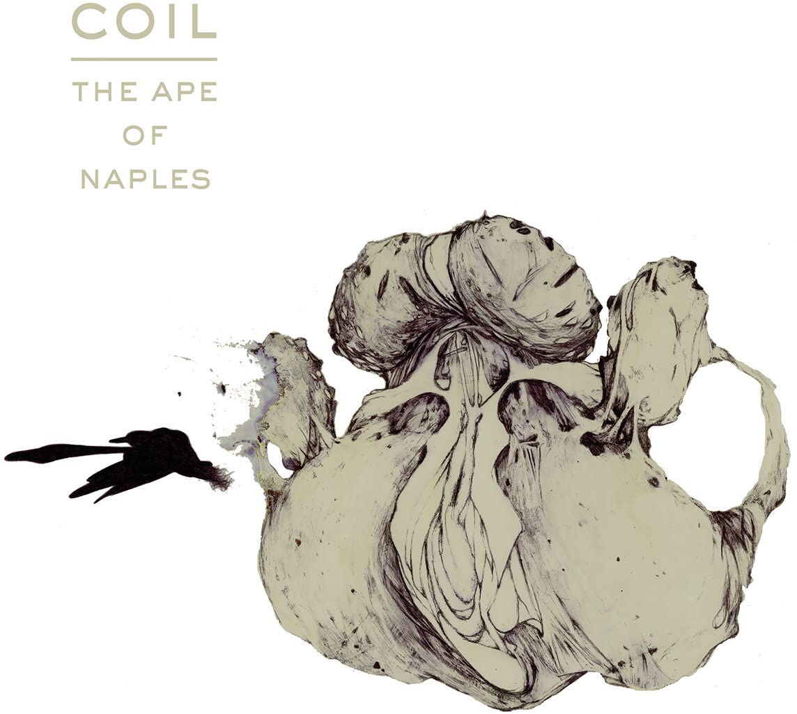 COIL - APE OF NAPLES LP3