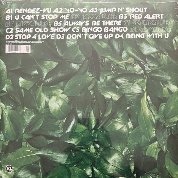 BASEMENT JAXX - REMEDY LP2 - Slika 2