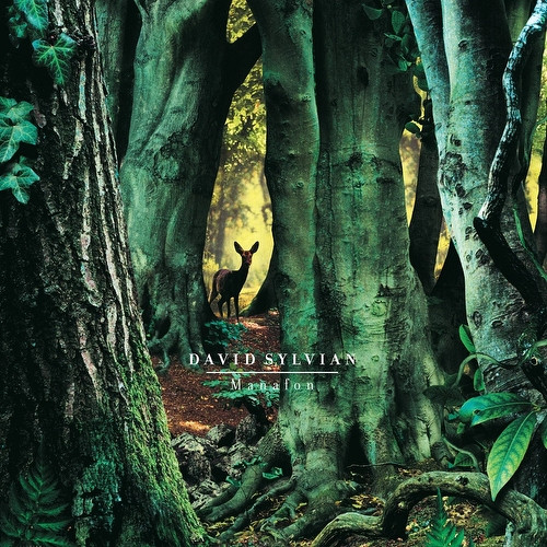 SYLVIAN DAVID - MANAFON LP - Slika 2