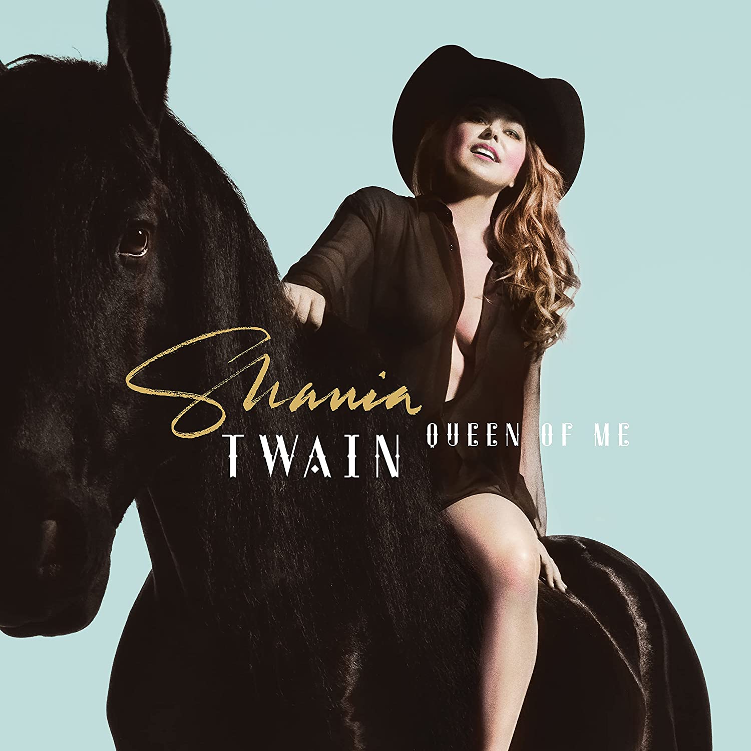 TWAIN SHANIA - QUEEN OF ME CD - Slika 2
