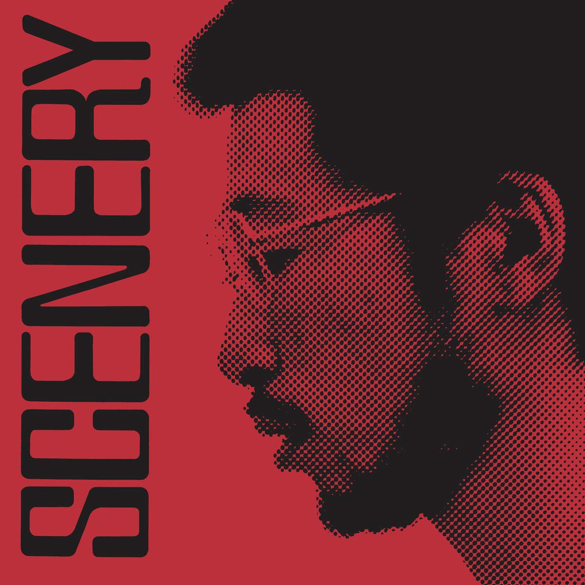 FUKUI RYO - SCENERY LP - Slika 3