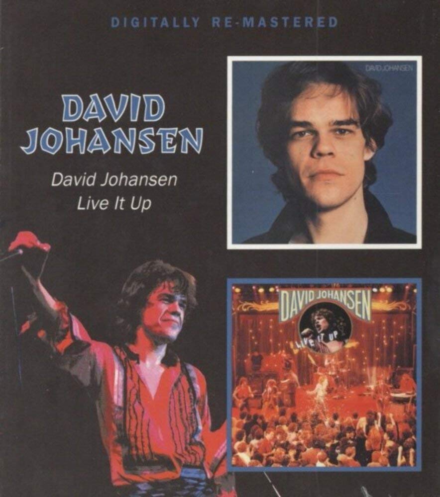 JOHANSEN DAVID - DAVID JOHANSEN/LIVE IT UP CD