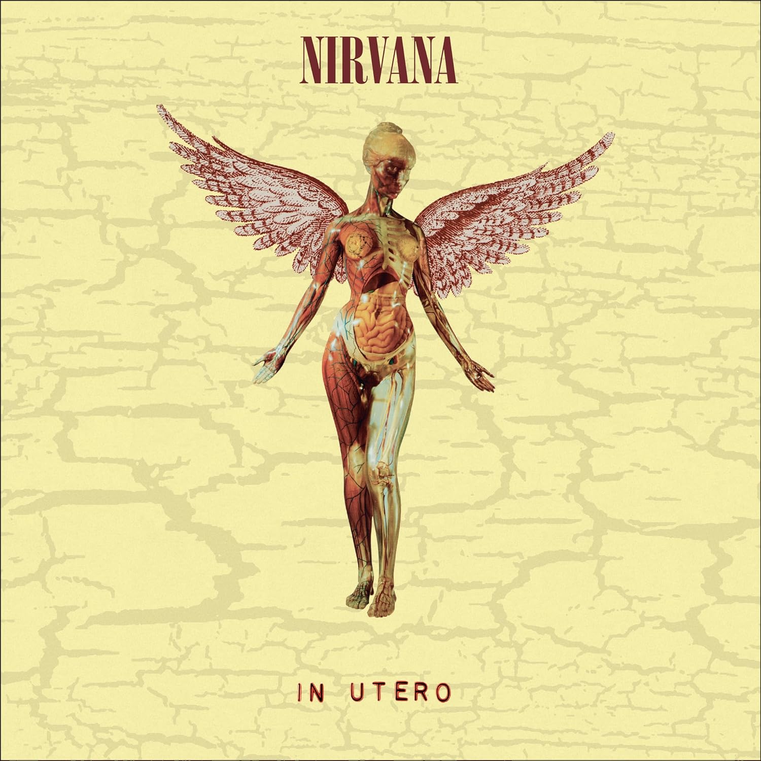NIRVANA - IN UTERO 30th anniversary LP+10'' - Slika 2