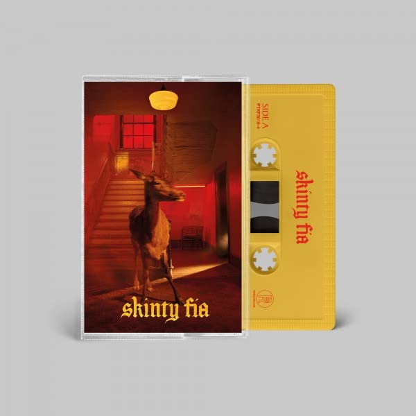 FONTAINES D.C. – SKINNY FIA MC