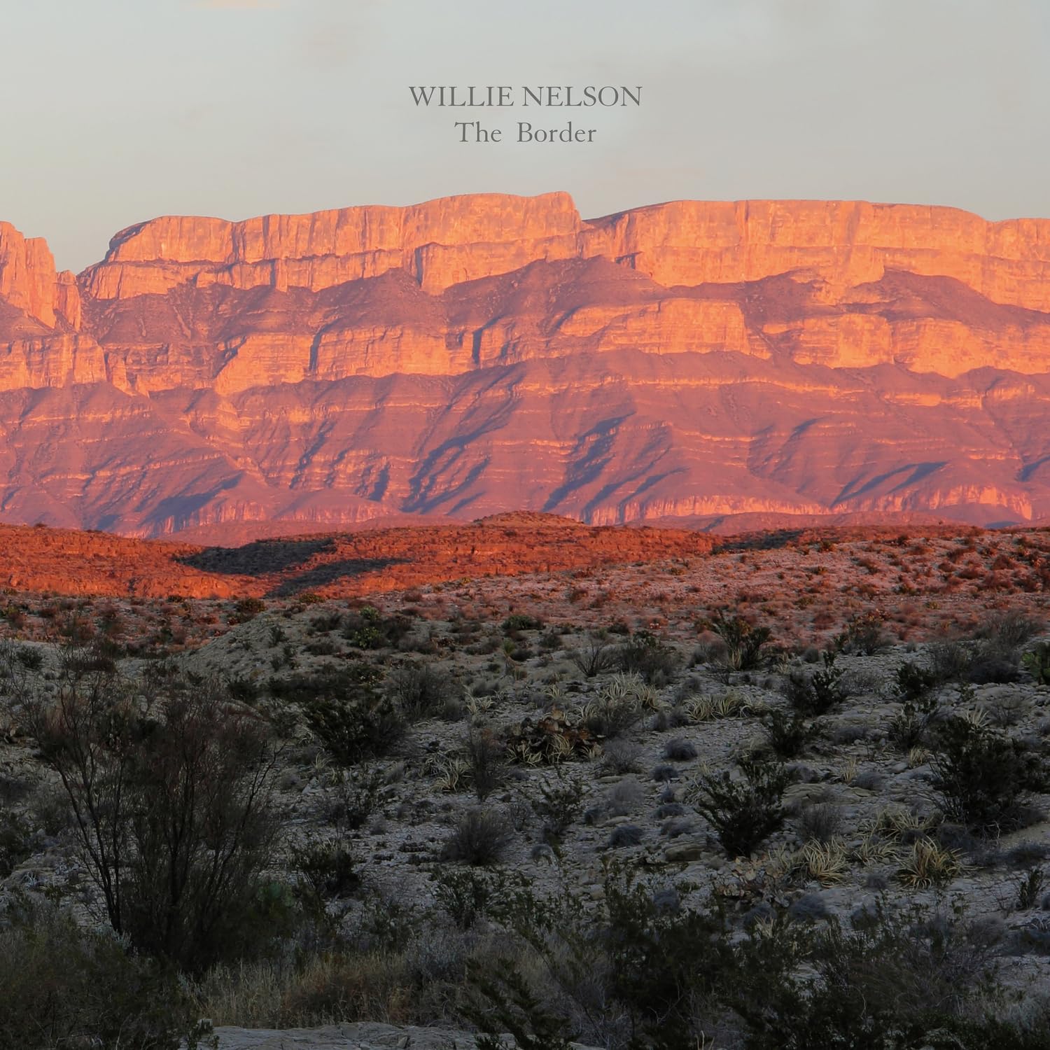 NELSON WILLIE - BORDER LP - Slika 2