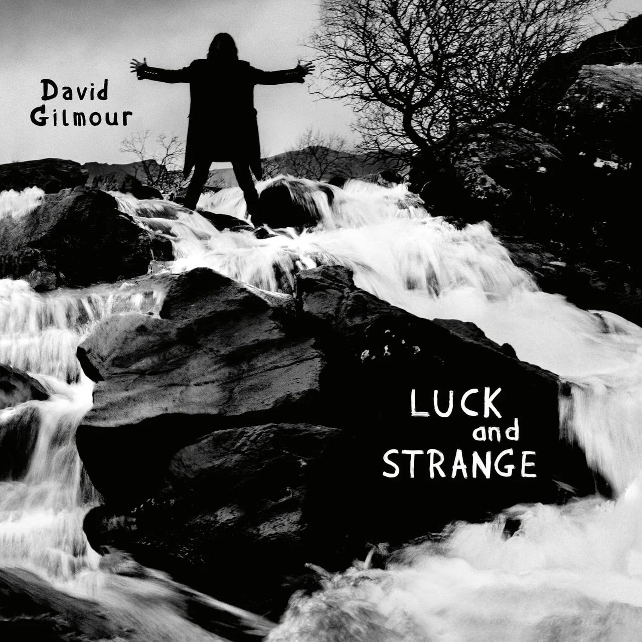 GILMOUR DAVID - LUCK AND STRANGE CD - Slika 2
