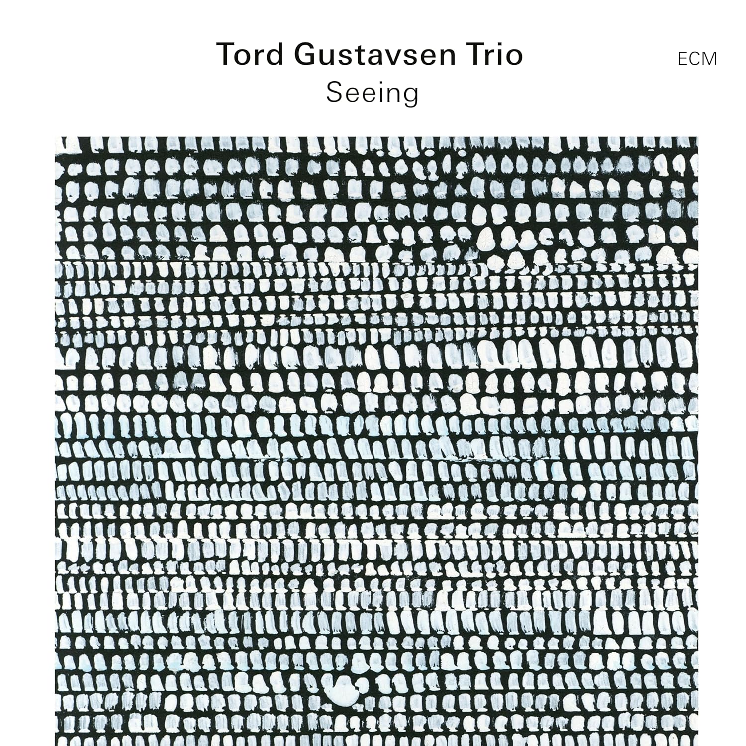 GUSTAVSEN TORD - SEEING CD