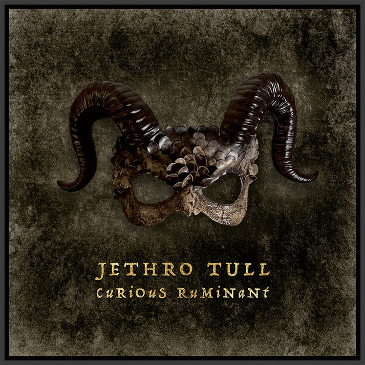JETHRO TULL - CURIOUS RUMINANT LP