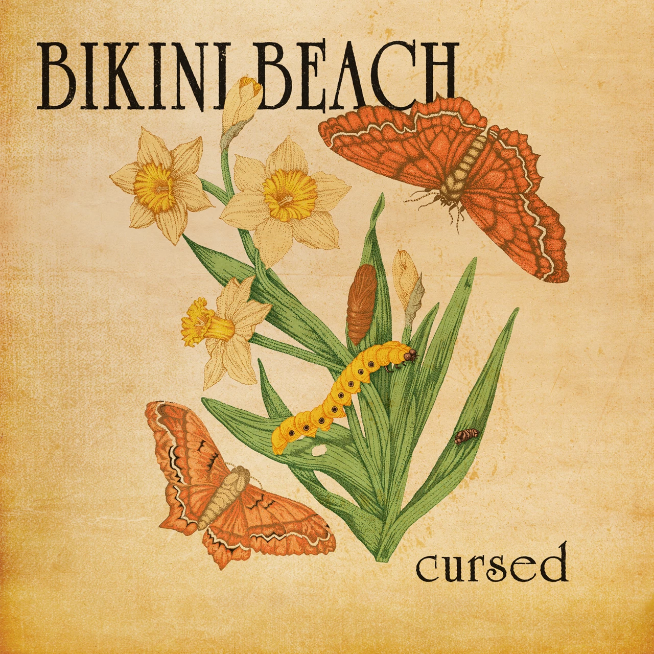 BIKINI BEACH - CURSED CD