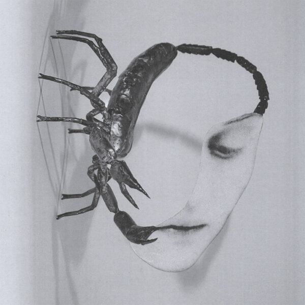 TORTOISE – TOUCH LP