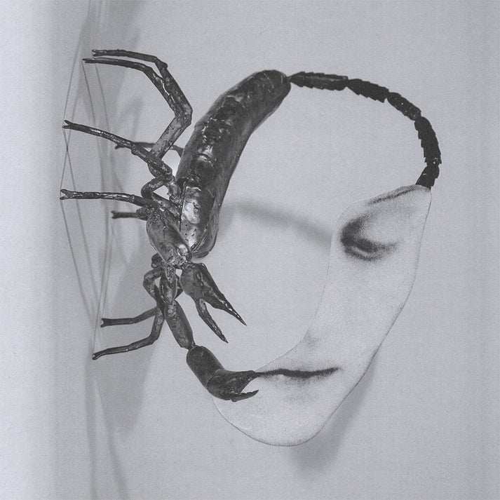 TORTOISE - TOUCH LP