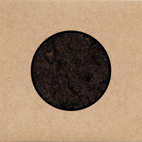 SWANS – BIRTHING CD2