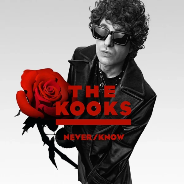 KOOKS – NEVER KNOW white vinyl LP