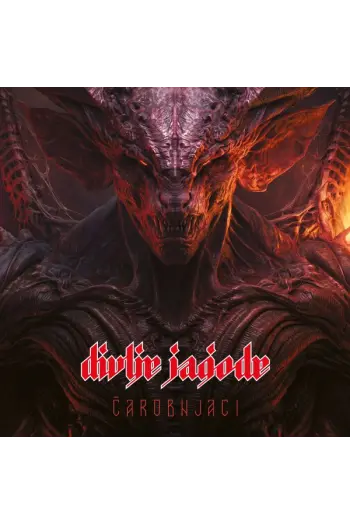 DIVLJE JAGODE – ČAROBNJACI LP